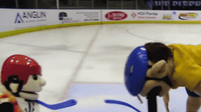 A Hockey Rink With An Advertisement For Anglin On The Wall GIF
