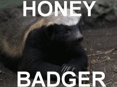 Honey Badger Laying On Ground With Honey Badger Text GIF