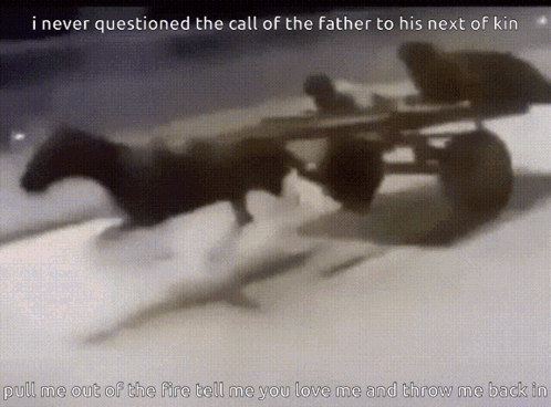 A Horse Drawn Carriage With A Caption That Says " I Never Questioned The Call Of The Father To His Next Of Kin GIF