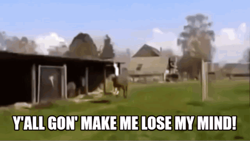 A Horse In A Field With The Words Y'all Gon Make Me Lose My Mind GIF