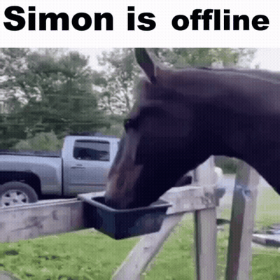 A Horse Is Drinking Water From A Bucket In A Fenced In Area . GIF