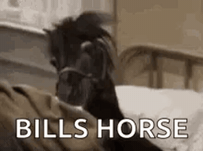 A Horse Is Laying On A Bed And Looking At The Camera . GIF