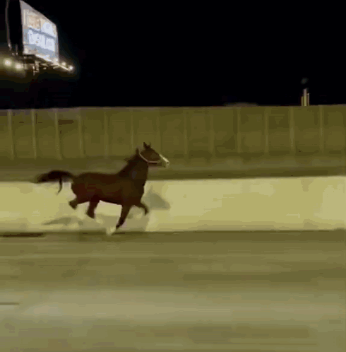 A Horse Is Running On A Track With A Billboard In The Background That Says ' Louis Vuitton ' On It GIF