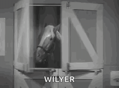 A Horse Is Standing In A Stable And Looking Out Of The Window . GIF