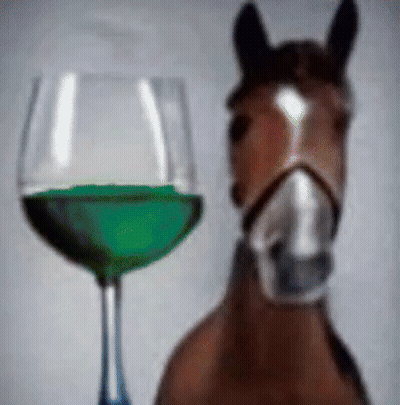 A Horse Is Standing In Front Of A Glass Of Green Liquid GIF