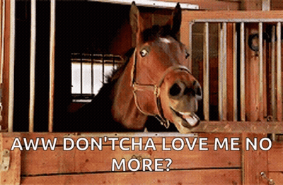 A Horse Is Sticking Its Head Out Of A Wooden Stable Door With The Caption " Aww Don 'Tcha Love Me No More " GIF