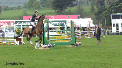 A Horse Jumping Over A Hurdle With A Yorkshire Company Sign Behind It GIF