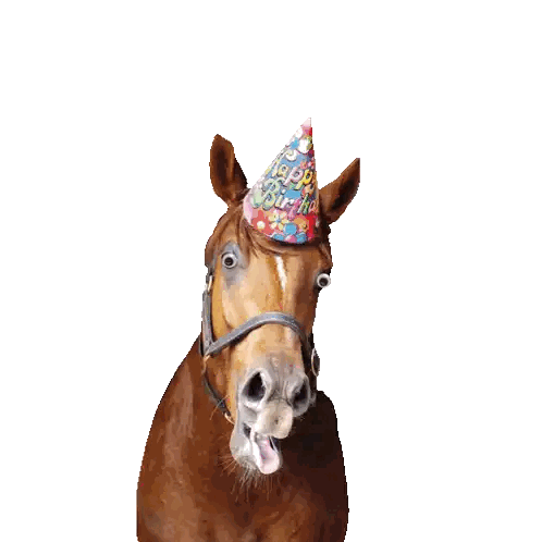 A Horse Wearing A Party Hat With The Words Happy Birthday Written Above It Sticker