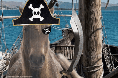A Horse Wearing A Pirate Hat And Eye Patch Holding A Sword GIF