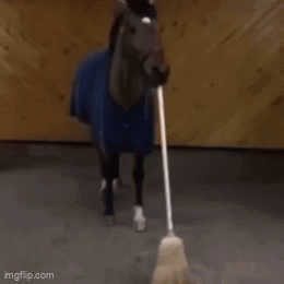 A Horse With A Broom Sticking Out Of Its Mouth In A Stable GIF