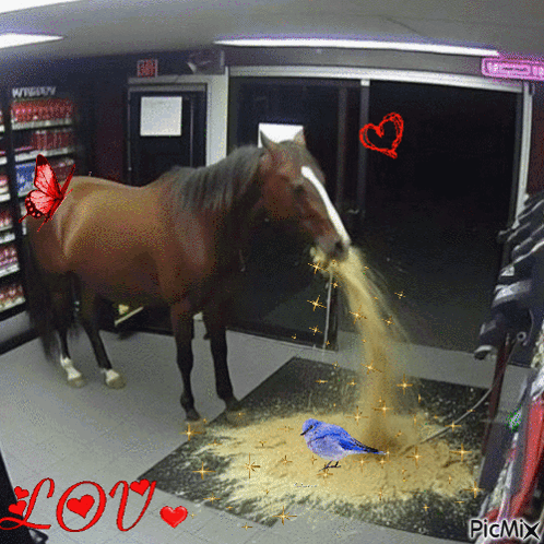 A Horse With A Butterfly On Its Back Is Standing In A Room With A Sign That Says Exit On It GIF