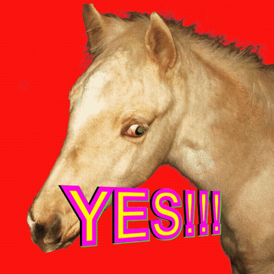 A Horse With A Red Background And The Word Yes On It GIF