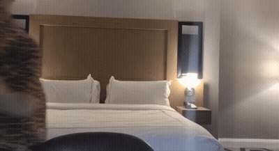 A Hotel Room With A King Size Bed And A Lamp GIF