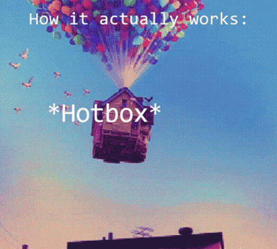 A House Is Being Lifted In The Air By Balloons With The Words How It Actually Works * Hotbox * Below It GIF