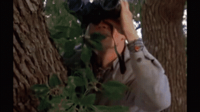A House With A Tree In Front Of It And A Person Looking Out The Window GIF