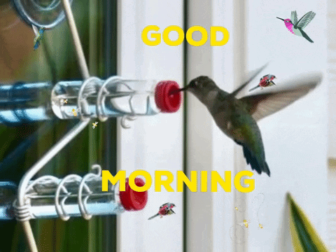 A Hummingbird Is Feeding From A Bird Feeder With The Words Good Morning Written On The Bottom GIF