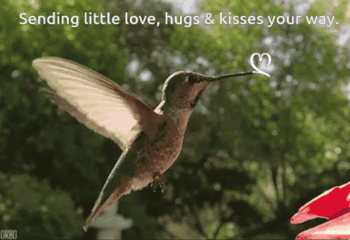 A Hummingbird Is Flying With A Heart In Its Beak And The Words Sending Little Love Hugs And Kisses Your Way GIF