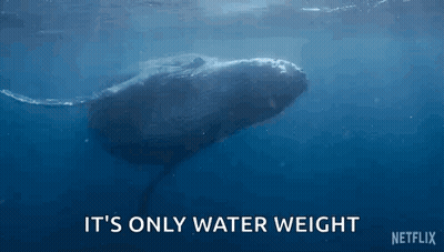 A Humpback Whale Is Swimming In The Ocean And Says It 'S Only Water Weight Netflix GIF