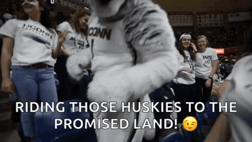 A Huskies Mascot Is Dancing In Front Of A Crowd GIF