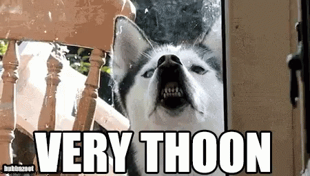 A Husky Dog Is Looking Through A Glass Door With The Words Very Thoon Written Below It GIF