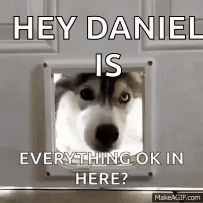 A Husky Dog Looking Through A Cat Door With The Caption Hey Daniel Everything Ok In Here ? GIF