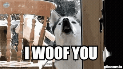 A Husky Dog Says I Woof You While Looking Through A Glass Door GIF