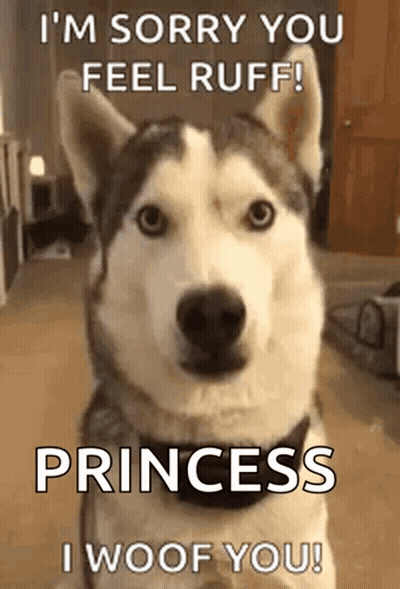 A Husky Dog With The Words `` I 'M Sorry You Feel Ruff ! Princess I Woof You '' GIF