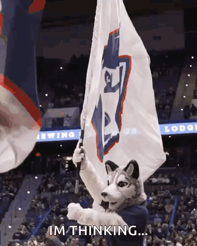 A Husky Mascot Is Holding A Flag And Says " Im Thinking " GIF