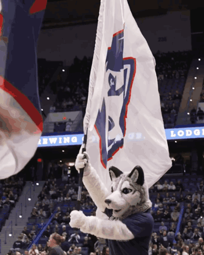 A Husky Mascot Is Holding A Flag With The Letter T On It GIF