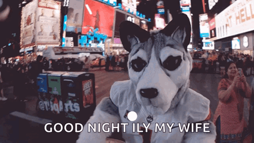 A Husky Mascot Says Good Night Ily My Wife In Front Of A Crowd GIF