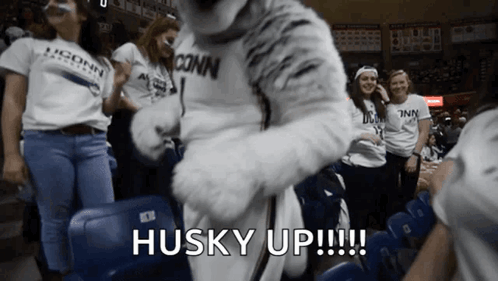 A Husky Mascot Stands In Front Of A Crowd Of People GIF