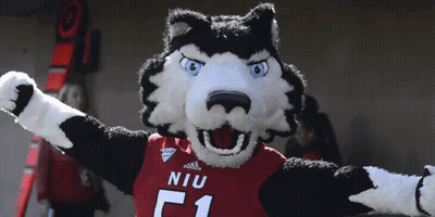 A Husky Mascot Wearing A Niu Jersey With The Number 1 GIF