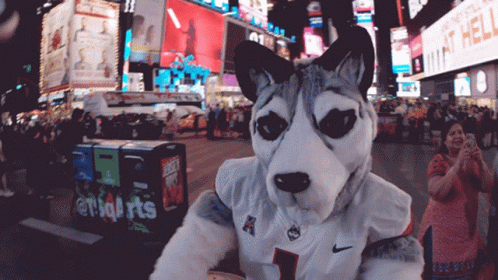 A Husky Mascot Wearing A Number 1 Jersey GIF