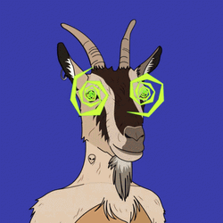A Hypnotized Goat Meme GIF