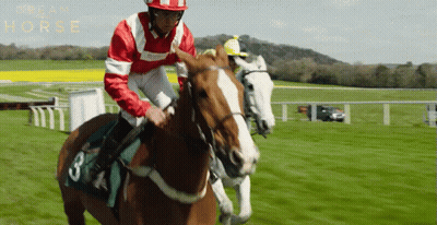 A Jockey Is Riding A Horse With The Number 3 On Its Saddle GIF