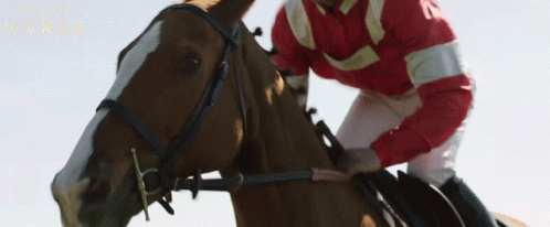 A Jockey Is Riding A Horse With The Words Dream Horse On The Bottom Right GIF