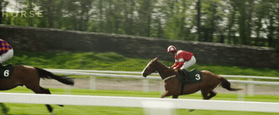A Jockey On A Horse With The Number 3 On The Back GIF