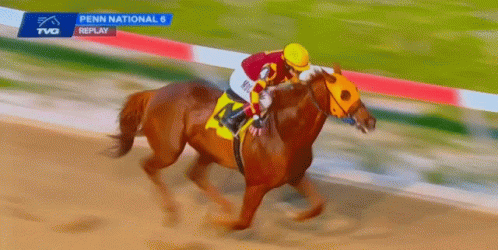 A Jockey Rides A Horse In A Penn National Race GIF