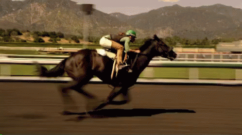 A Jockey Rides A Horse On A Race Track GIF