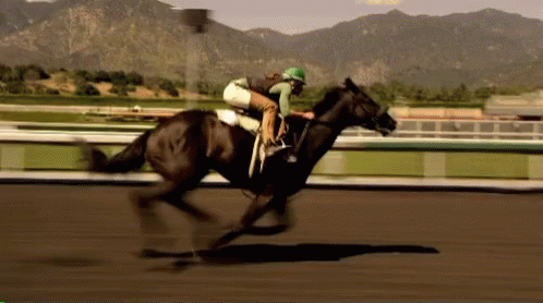 A Jockey Rides A Horse On A Race Track GIF