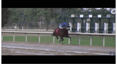 A Jockey Rides A Horse On A Race Track With The Number 10 On The Fence GIF