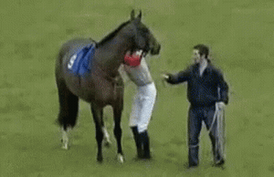 A Jockey Riding A Horse With A Speech Bubble Saying Do A Barrel Roll GIF