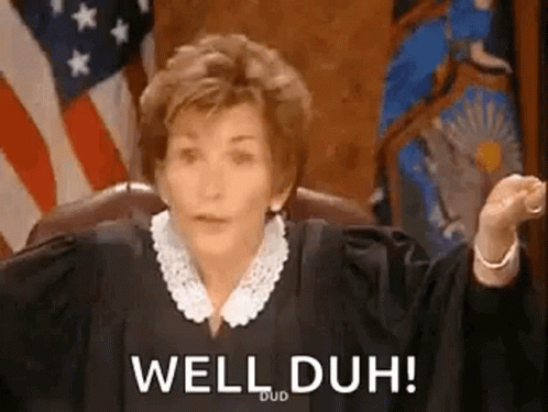 A Judge Is Sitting In A Courtroom And Saying `` Well Duh ! '' GIF