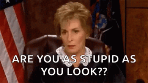 A Judge Is Sitting In Front Of An American Flag And Asking If She Is Stupid As You Look . GIF