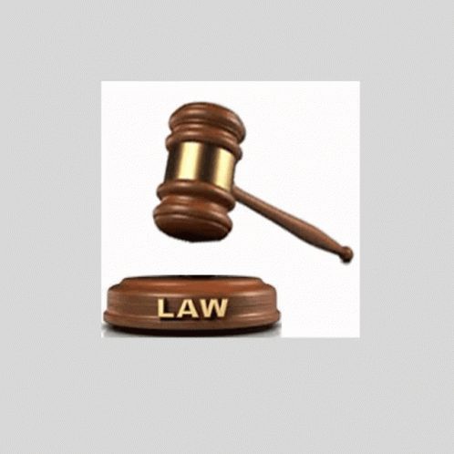 A Judge 'S Gavel With The Word Law Written On It GIF