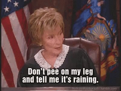 A Judge Says " Don 'T Pee On My Leg And Tell Me It 'S Raining " In Front Of An American Flag . GIF