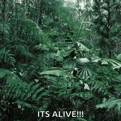 A Jungle With Lots Of Plants And Trees And The Words `` It 'S Alive '' Written On The Bottom . GIF