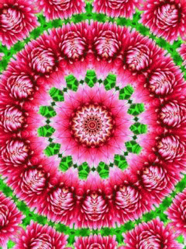A Kaleidoscope Of Pink And Green Flowers In A Circular Pattern . GIF