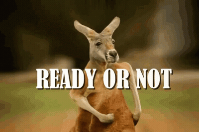 A Kangaroo Is Holding Another Kangaroo With The Words " Ready Or Not " Below It GIF