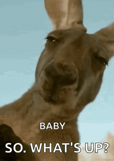 A Kangaroo Is Looking At The Camera With The Words `` Baby So What 'S Up '' Written Above It . GIF
